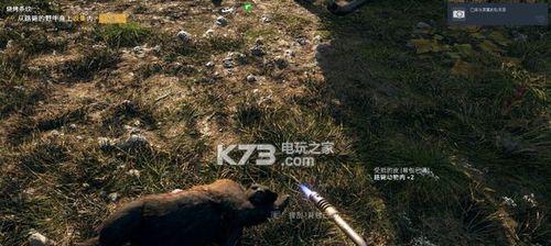 《孤岛惊魂5》藏匿处储物箱攻略（详解藏匿处的位置和获取方式）