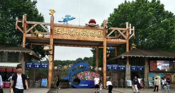 《动物森林推流程攻略》（玩转动物森林推）