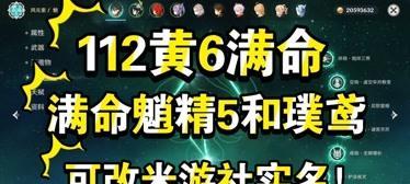 原神中的命运之子——探讨满命丽莎的强度（解密满命丽莎的实力及其在原神世界中的角色定位）