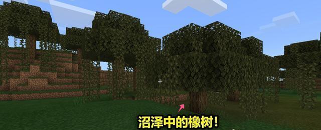 我的世界玩家必看（从选址到施肥）