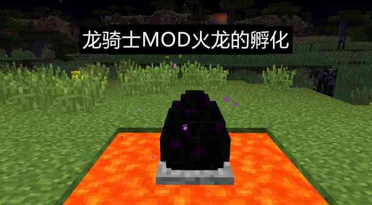 如何正确孵化和使用我的世界龙蛋（掌握关键技巧）