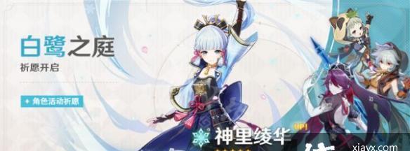原神神里绫华配队怎么搭配？圣遗物选择有哪些技巧？