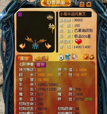 魔域中灵药和宝宝如何搭配使用？搭配策略是什么？