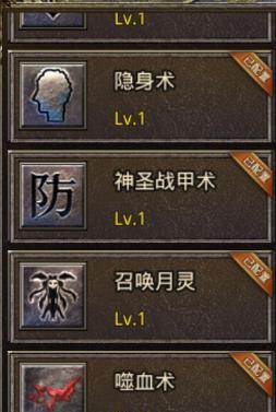 热血传奇道士技能搭配秘籍是什么？如何搭配道士技能？