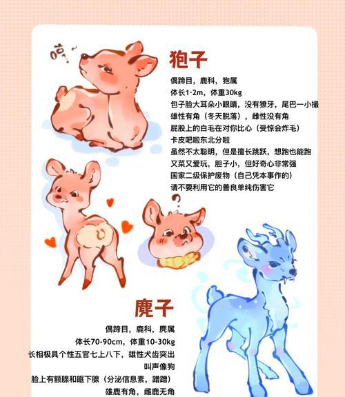 克制小鹿技能的策略有哪些？如何有效应对？