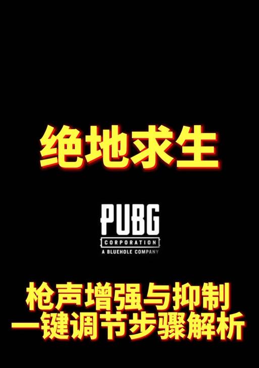 绝地求生中如何关闭枪声和回音？设置方法是什么？