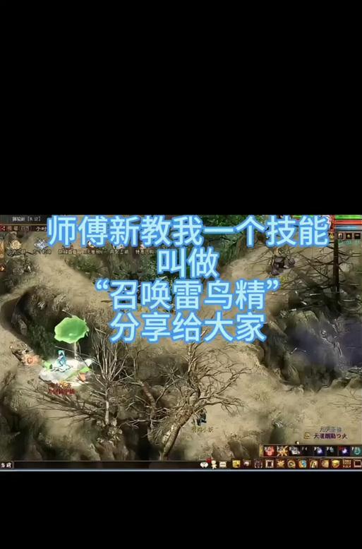 大话西游领悟高级技能后如何处理？后续步骤是什么？