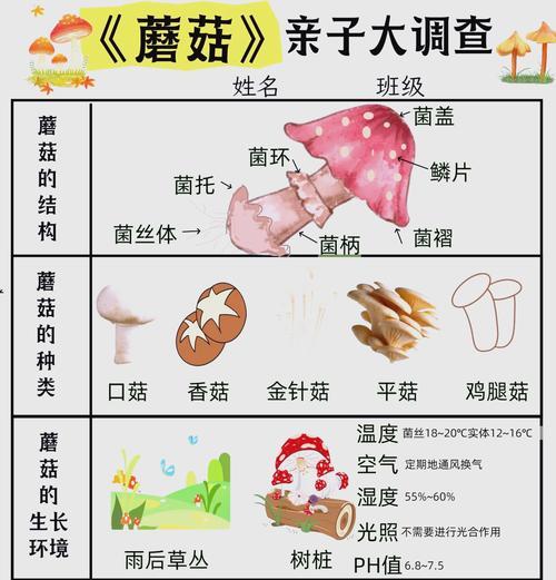 生化危机麻蘑菇获取方法是什么？